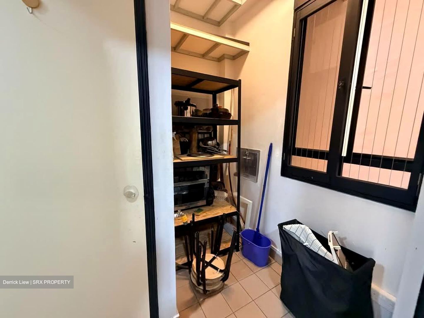 Dover Parkview (D5), Condominium #591441821